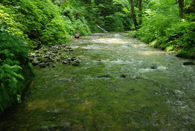 d0164783_19142787.jpg