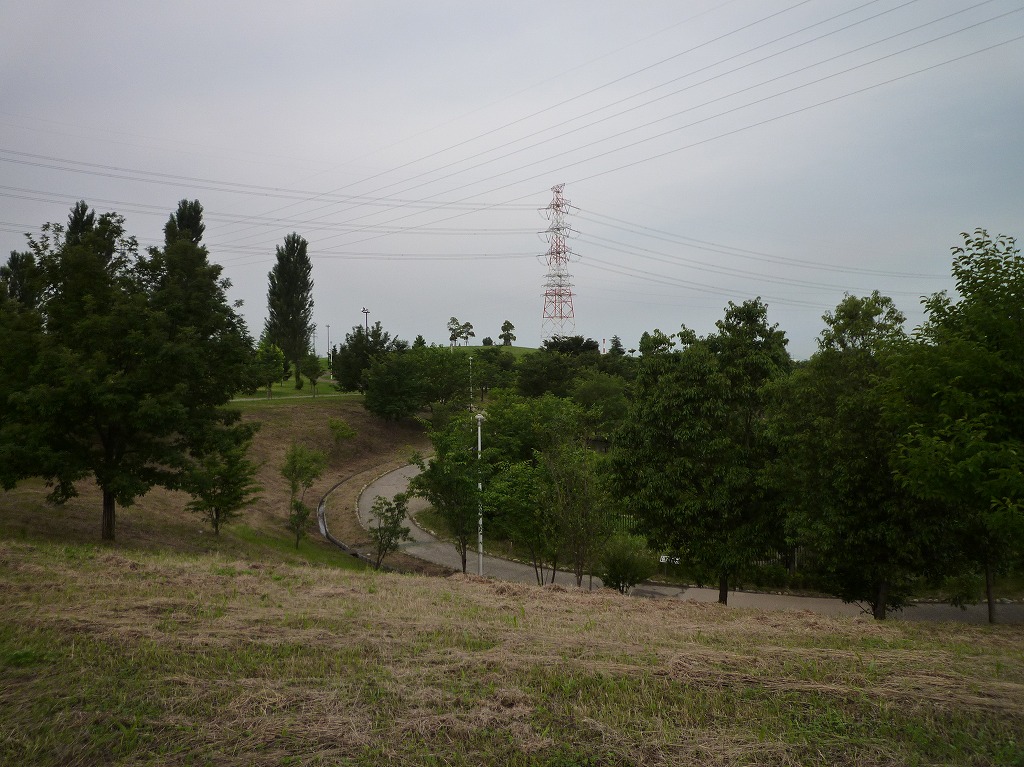 a0118289_7514131.jpg