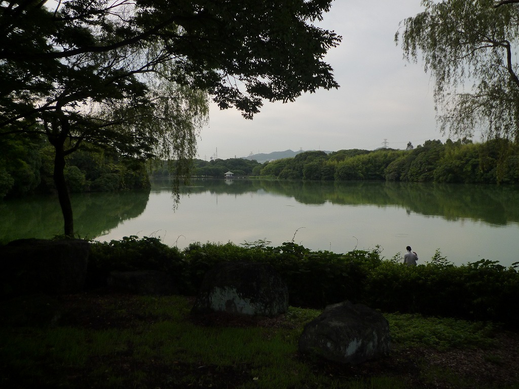 a0118289_7514963.jpg