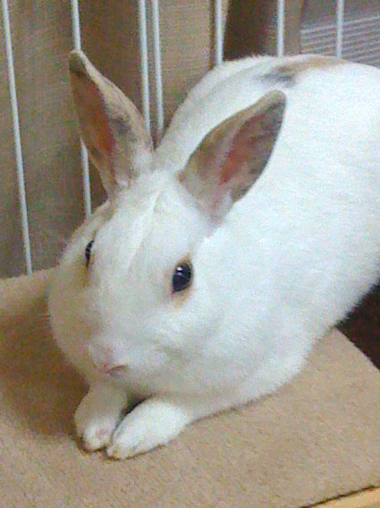 f0201191_2371837.jpg