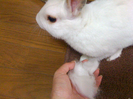 f0201191_2374999.jpg