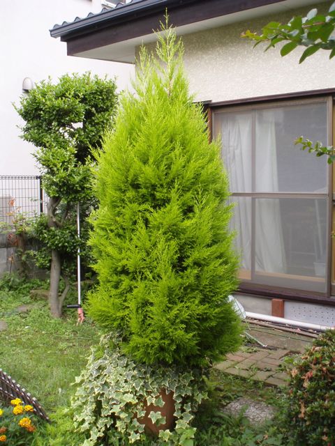f0130894_21472318.jpg