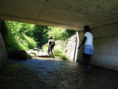 c0118495_23184711.jpg