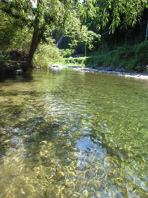c0118495_2318518.jpg