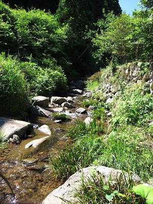 c0118495_23191690.jpg