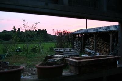 d0100095_545281.jpg