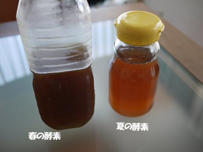 c0050400_1750591.jpg