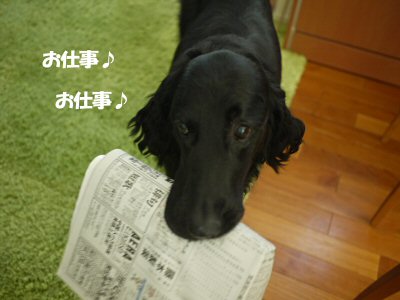 c0050400_17554970.jpg