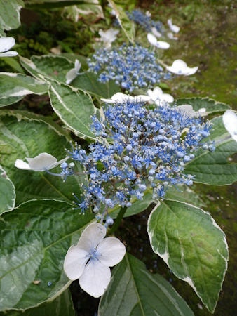 f0239100_12273314.jpg