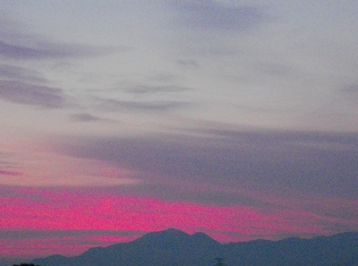 e0119017_4532556.jpg