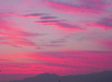 e0119017_453491.jpg