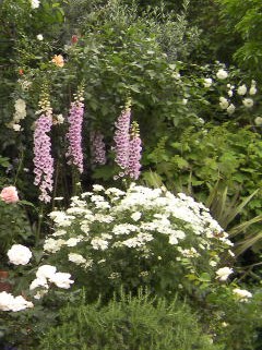 c0204121_1457825.jpg