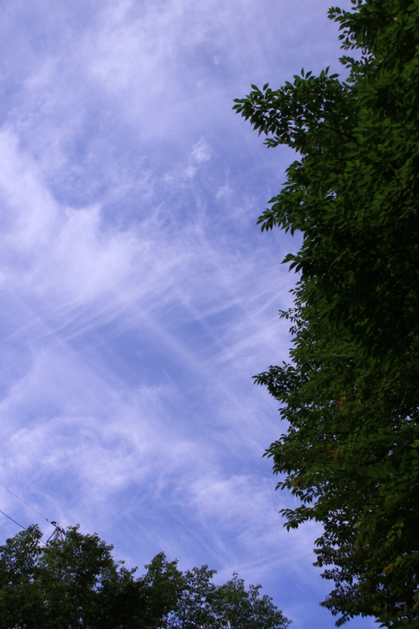 b0165522_20422310.jpg