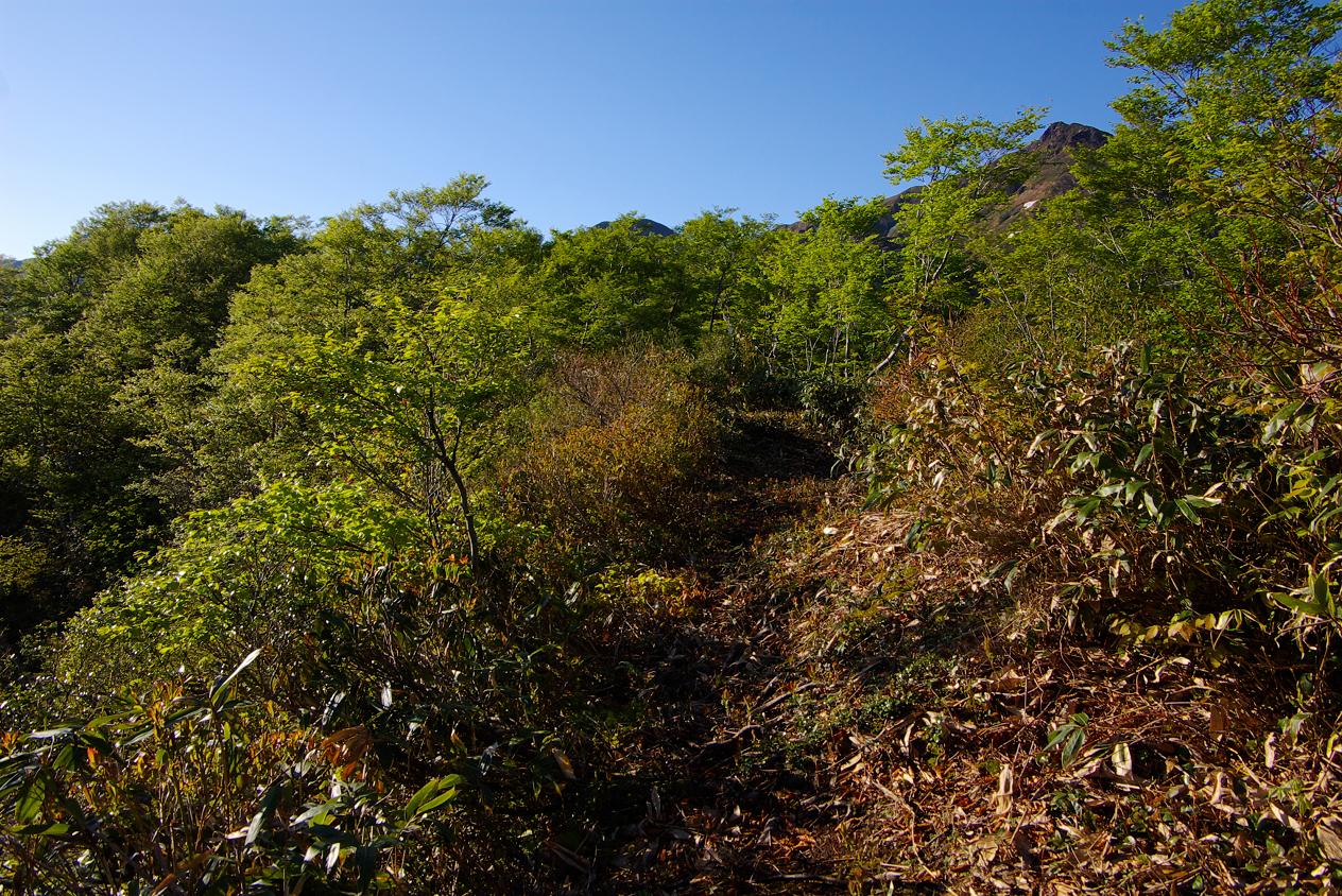 b0062024_71458.jpg