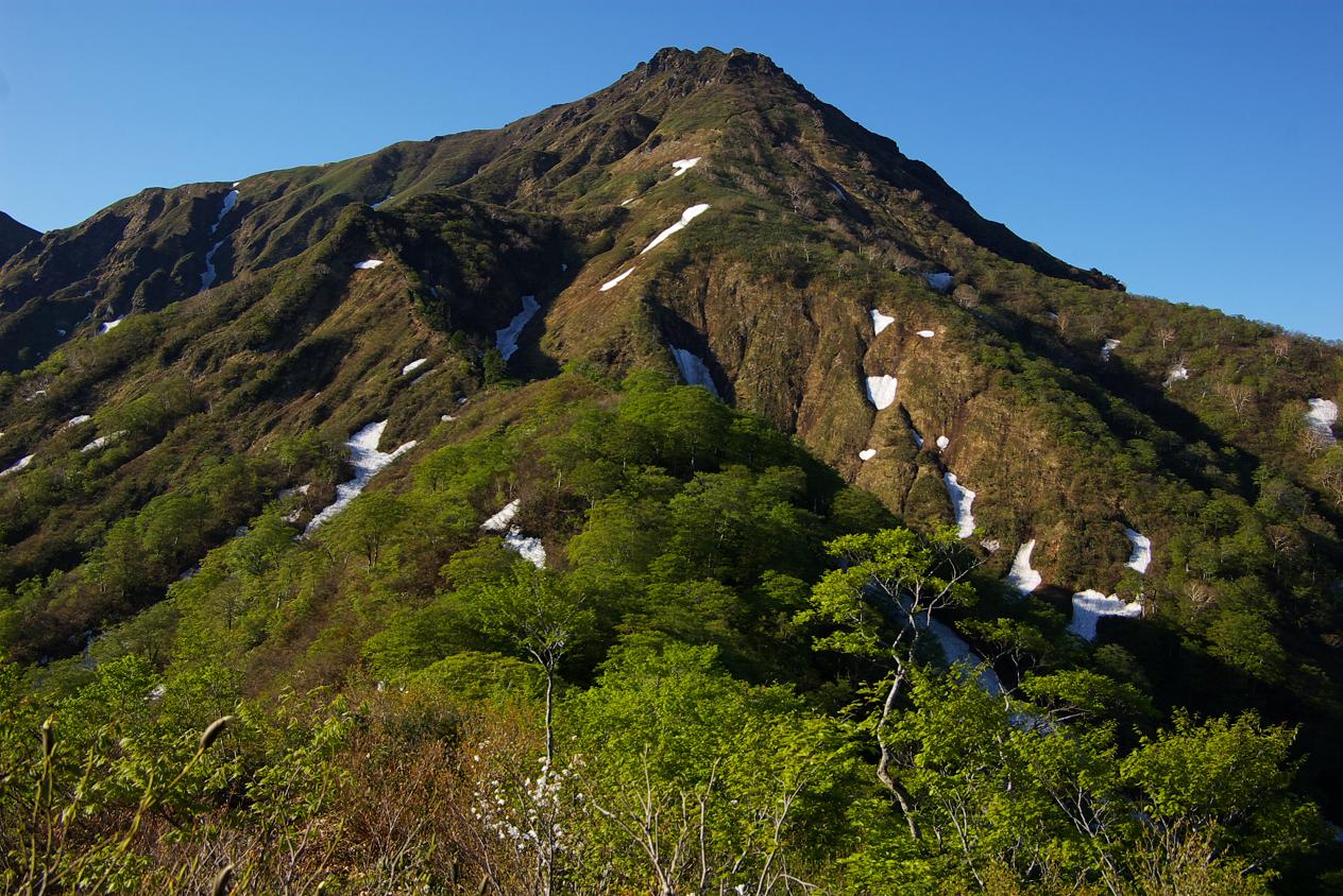 b0062024_715168.jpg