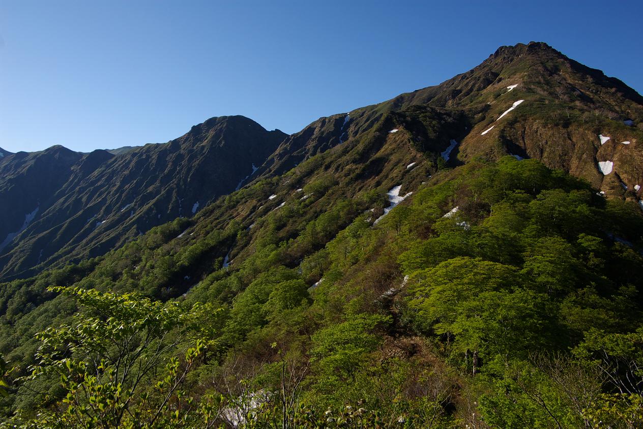 b0062024_7184327.jpg