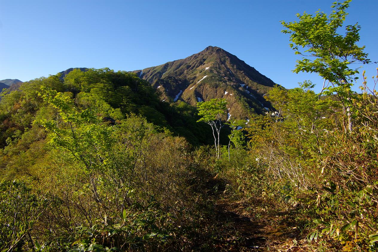 b0062024_721665.jpg