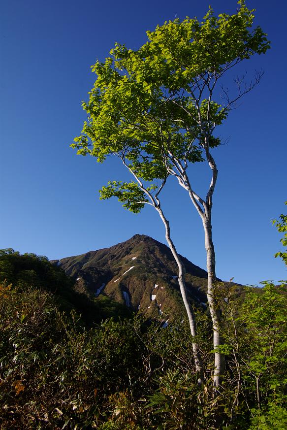 b0062024_725165.jpg