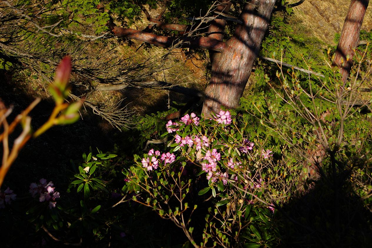 b0062024_7282915.jpg