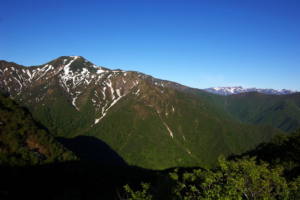 b0062024_762252.jpg