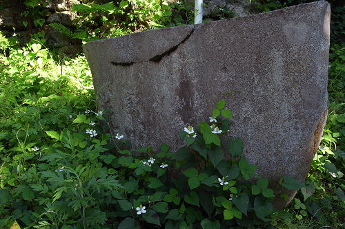 f0007926_10562378.jpg