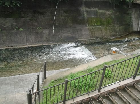 f0088731_21141930.jpg