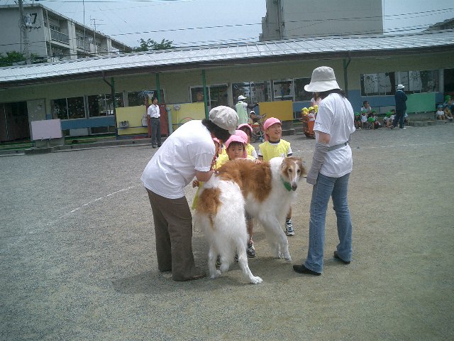 c0114833_21134268.jpg