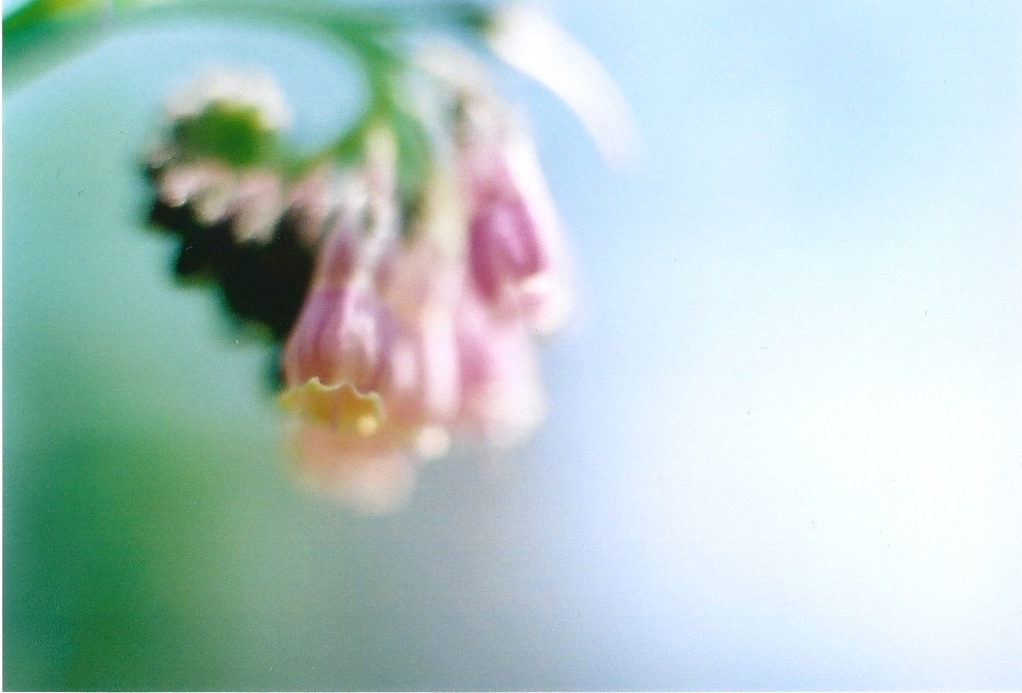 f0236733_011314.jpg