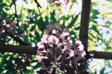 f0236733_23573126.jpg