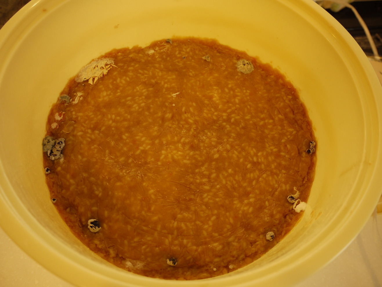 c0146637_19463289.jpg