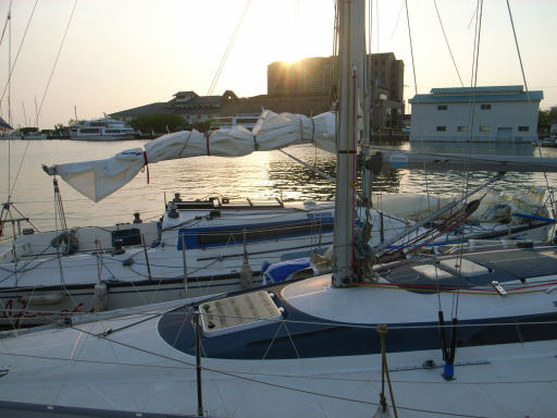 c0032138_2041025.jpg