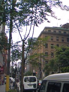 a0116442_21121721.jpg