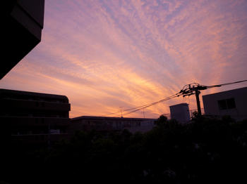 d0039443_948836.jpg