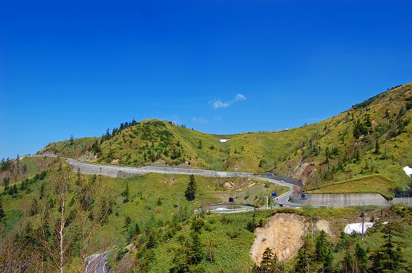 d0164443_6355428.jpg