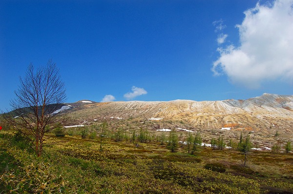 d0164443_636252.jpg