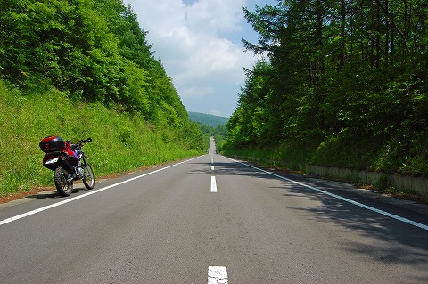 d0164443_6372582.jpg