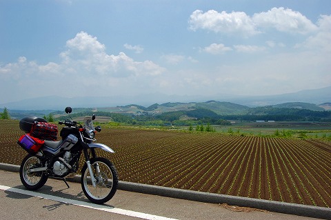 d0164443_6374925.jpg