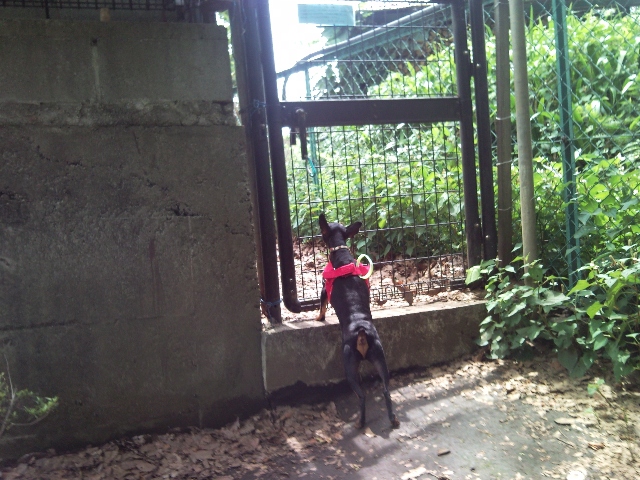 e0150843_225237100.jpg