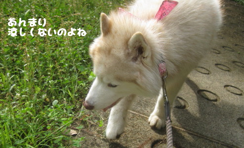 e0121548_1257171.jpg