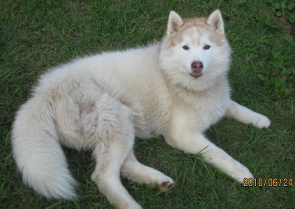 e0121548_1311869.jpg