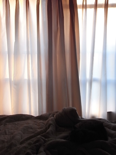 c0003752_23543484.jpg