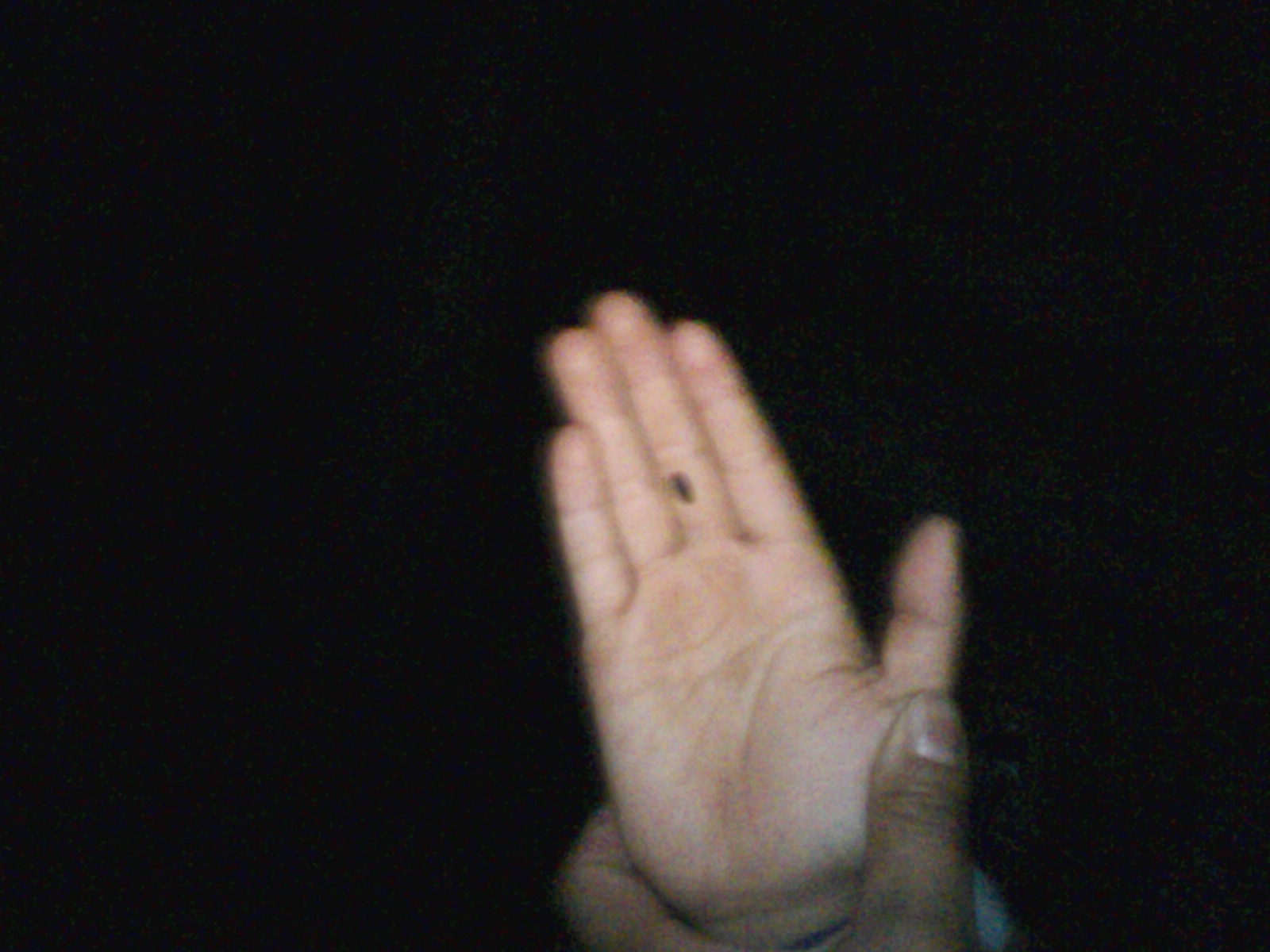 e0085052_20493710.jpg