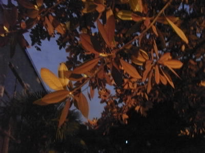 b0122664_1325977.jpg
