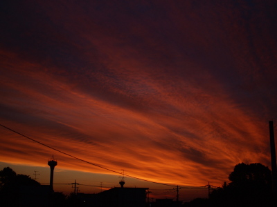 b0180764_2347462.jpg