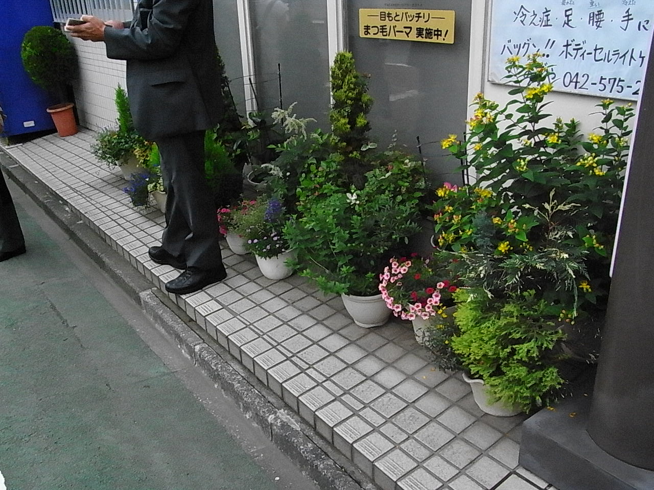 d0117565_1553596.jpg