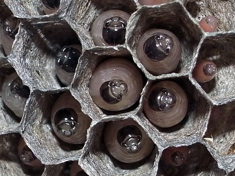 b0130166_12342456.jpg