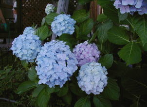 e0058166_20561187.jpg