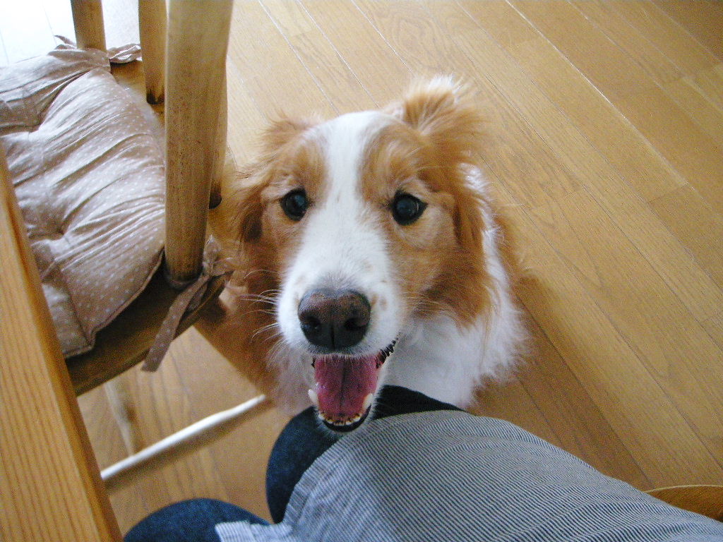 c0210571_044410.jpg