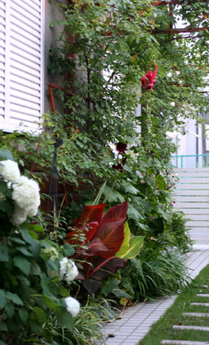 e0154682_23104682.jpg