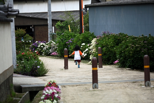 e0190885_2032549.jpg